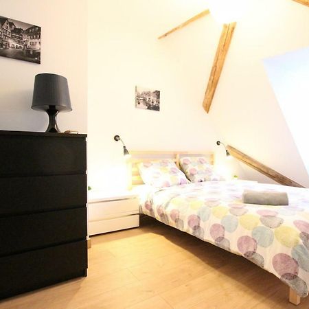Apartament Colmar Historic Center - Belle Alsace 5 - 4 Etoiles Zewnętrze zdjęcie